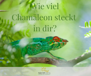 Wie viel Chamaleon steckt in dir